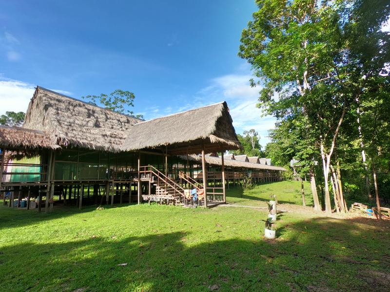 3 SEMANAS EN PERÚ del Amazonas a Machu Picchu 2019 - Blogs de Peru - Día 3. Iquitos Sunrise pirañas, centro de rescate y Lima (10)