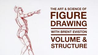 The Art & Science of Figure Drawing  VOLUME & STRUCTURE