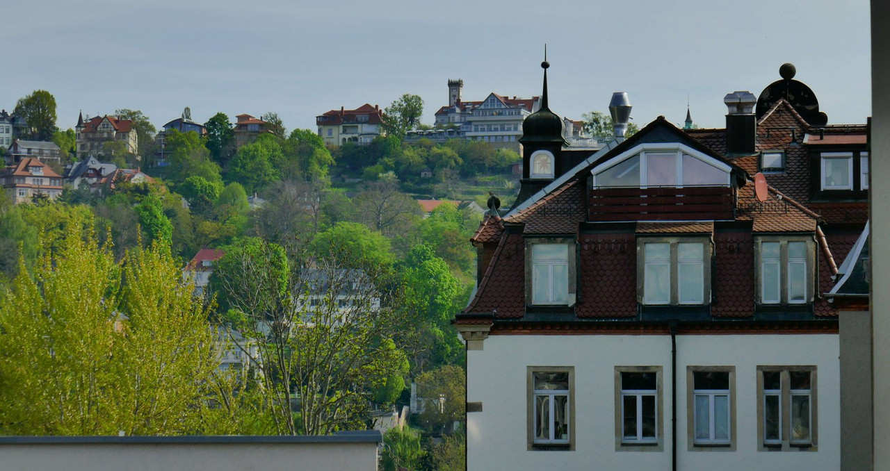 Bild: https://i.postimg.cc/5Ngxh0k4/P1270223.jpg