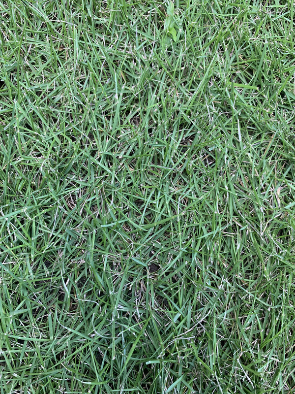 53EB1AF7-46E0-4A01-8336-54CF319CCF75