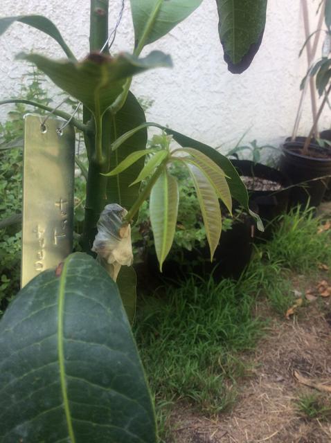 474EA2DB-B325-4CD5-B6E3-4EB1B34DBEFD