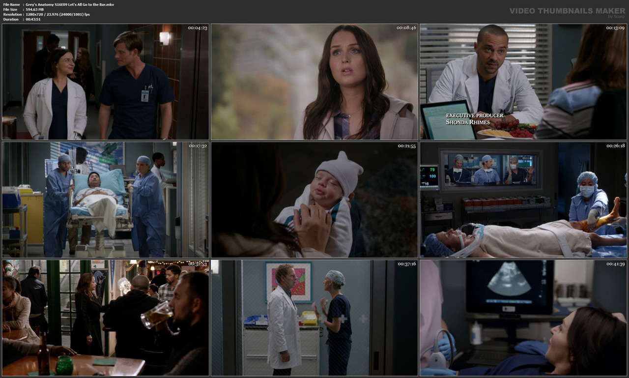 Grey's Anatomy S16E09 Let's All Go to the Bar.mkv