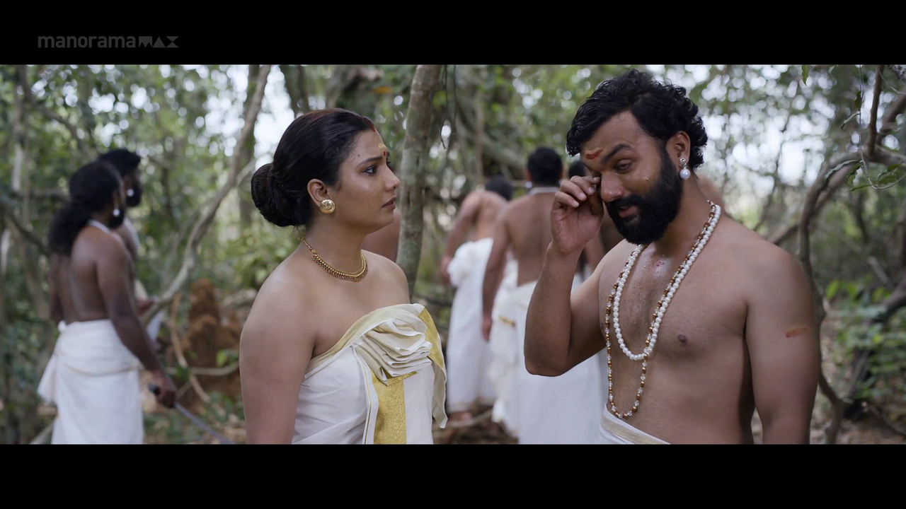 vlcsnap 2026 02 06 17h16m21s751