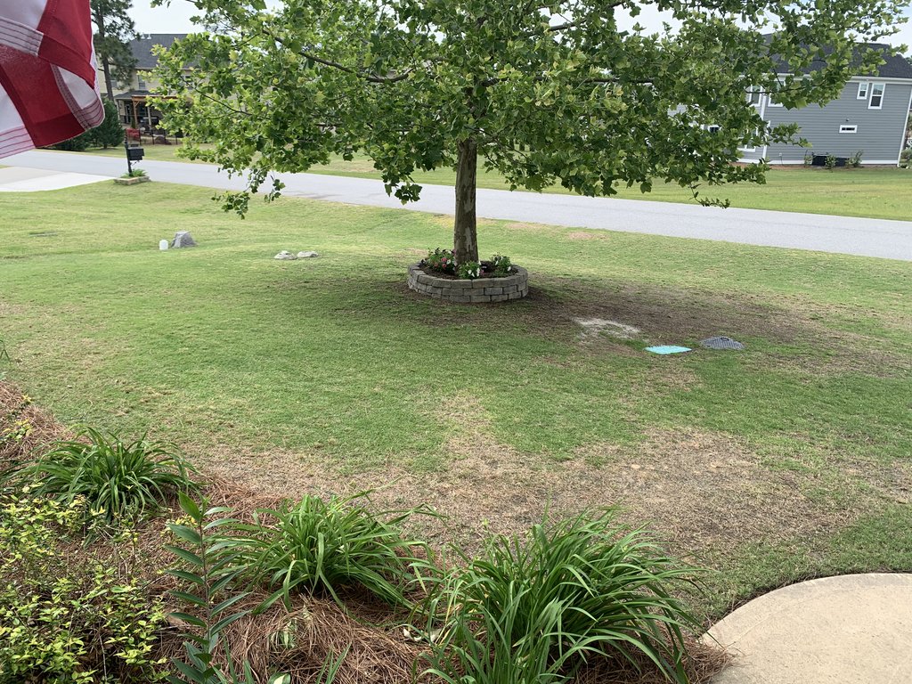 078089AD-3B5A-4228-85D2-758535D1C094