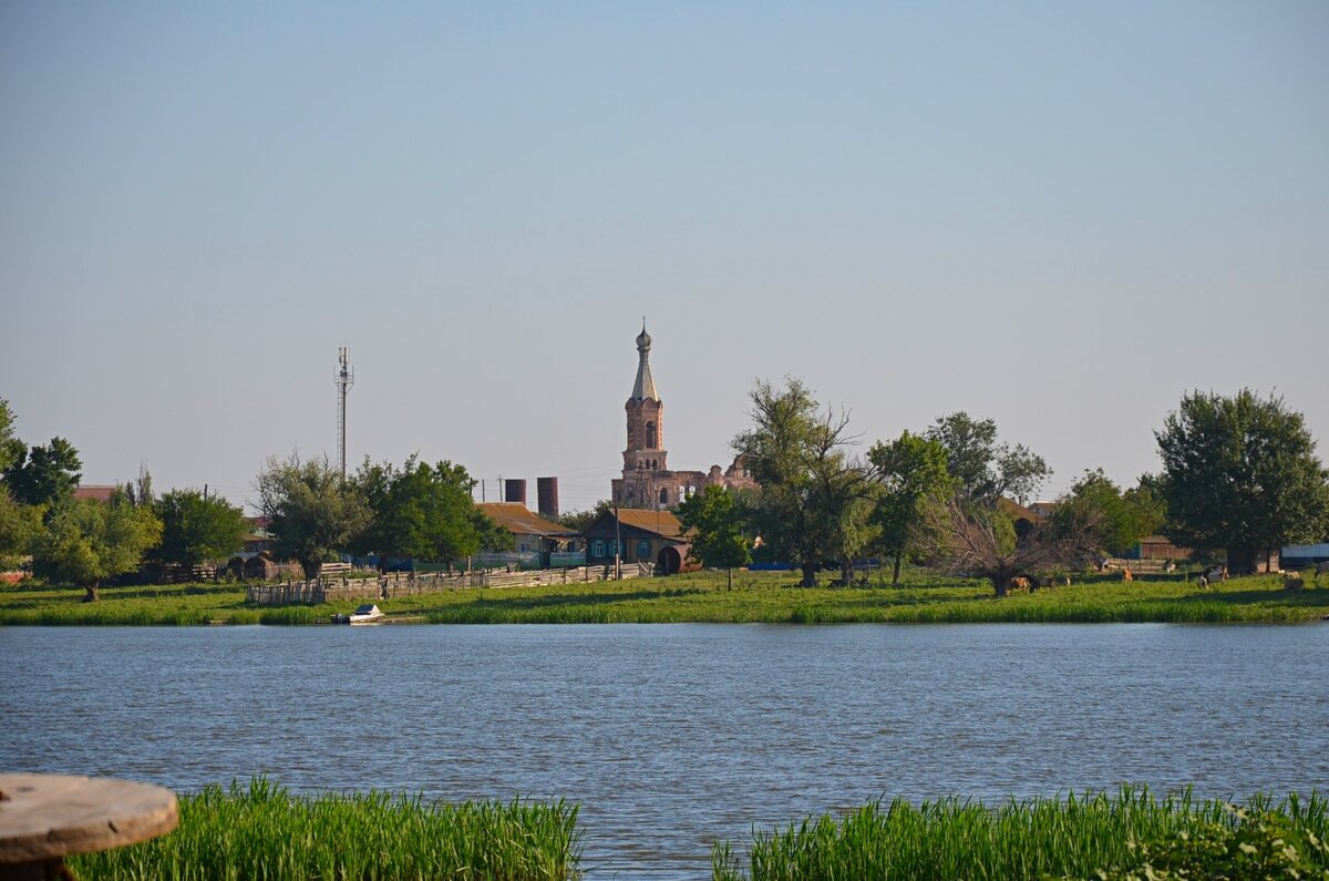 scale-1200-64.jpg