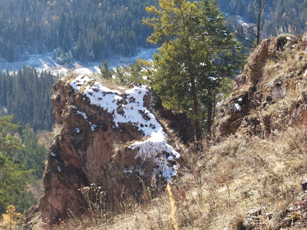 IMG-20211016-WA0001