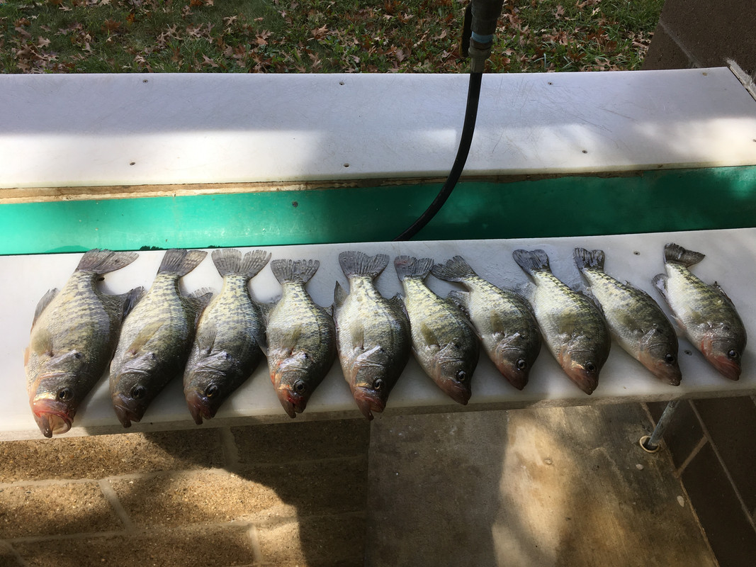 8D1A6496-DA99-4703-965D-522487B687C3