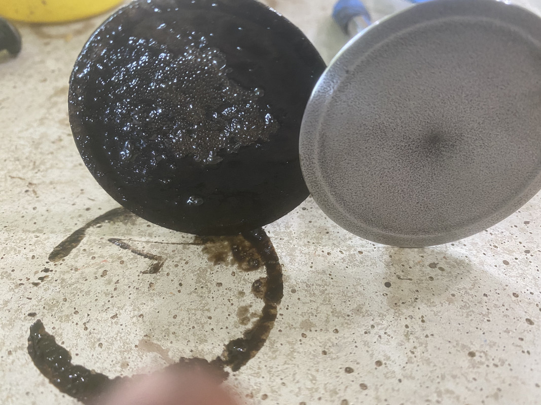 04F3C2D1-2C88-4D6D-9328-4DCF2F4F9D33