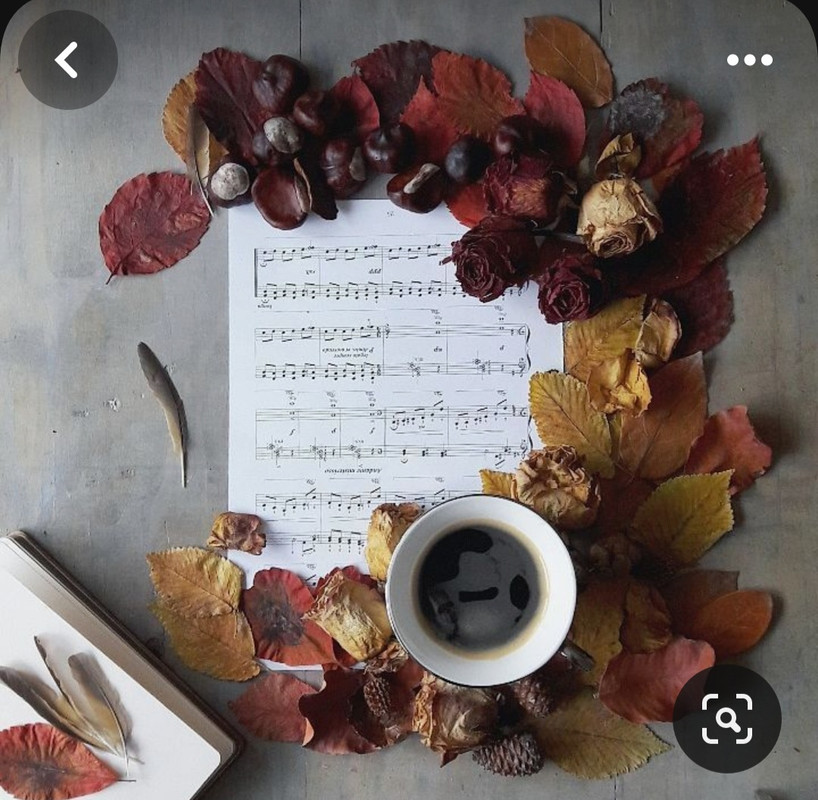 Screenshot_20230909_005453_Pinterest