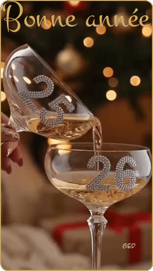 311225-bonne-annee-2026-champagne