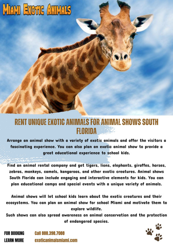 Rent Unique Exotic Animals for Animal Shows South Florida