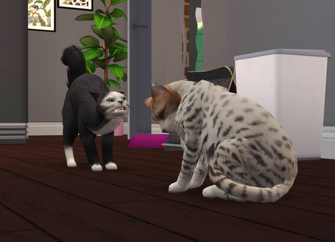 Sims2-EP9-RPC-2024-02-24-18-36-40-64