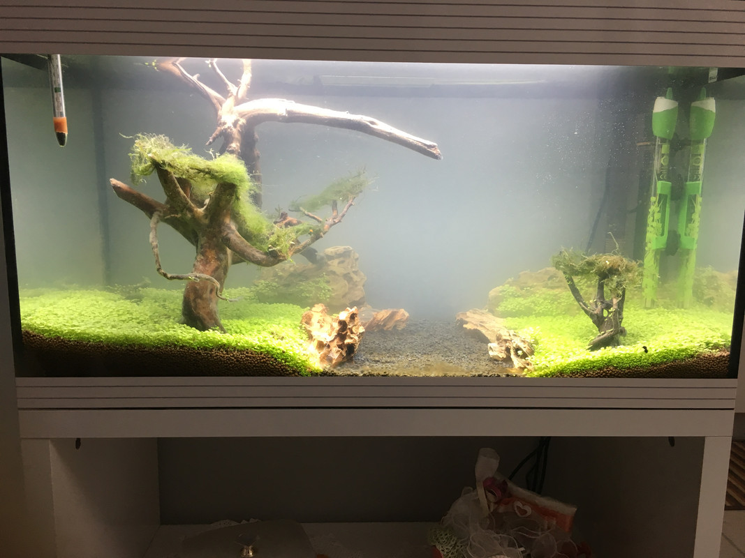 92BEB515-B8FD-41DF-821A-33A0E50A9A05