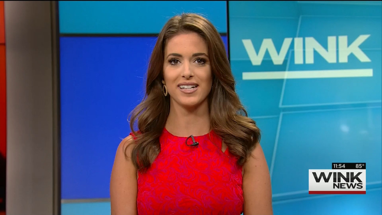 09.06 - 16.30.00 - WINK News @ 11 30AM..ts_snapshot_30.07.147