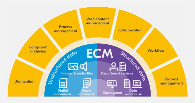 Enterprise Content Management Systems