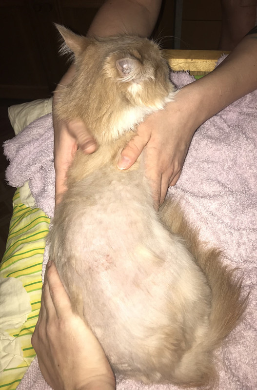 4CBD9B34-9430-4217-9937-D9A8850F5FC6