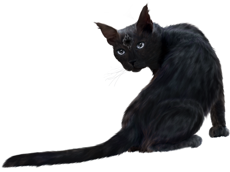 Autumn Witchery (11)