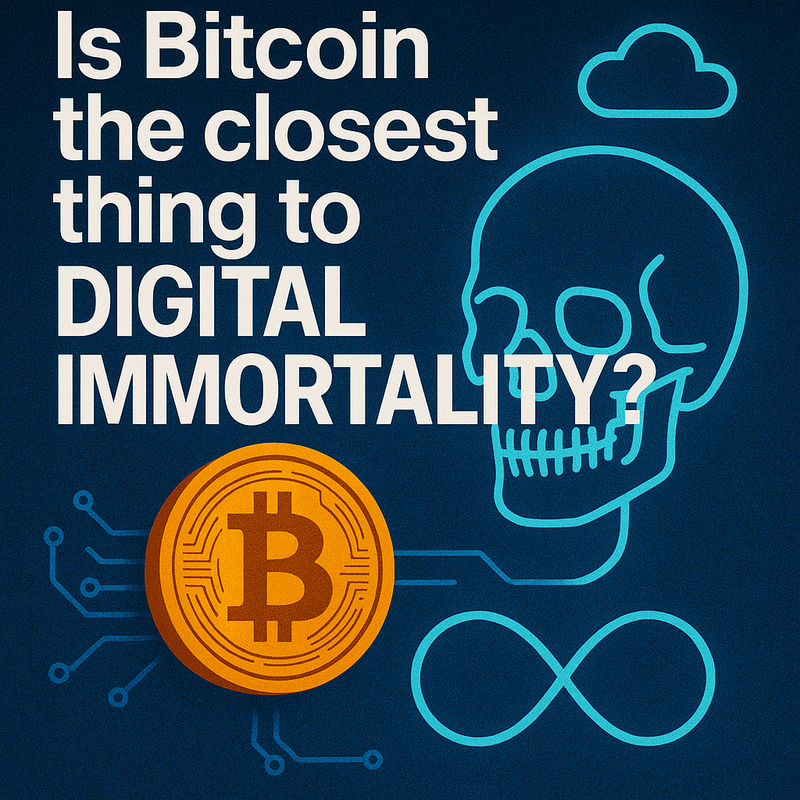 Is Bitcoin the closest thing to digital immortality?