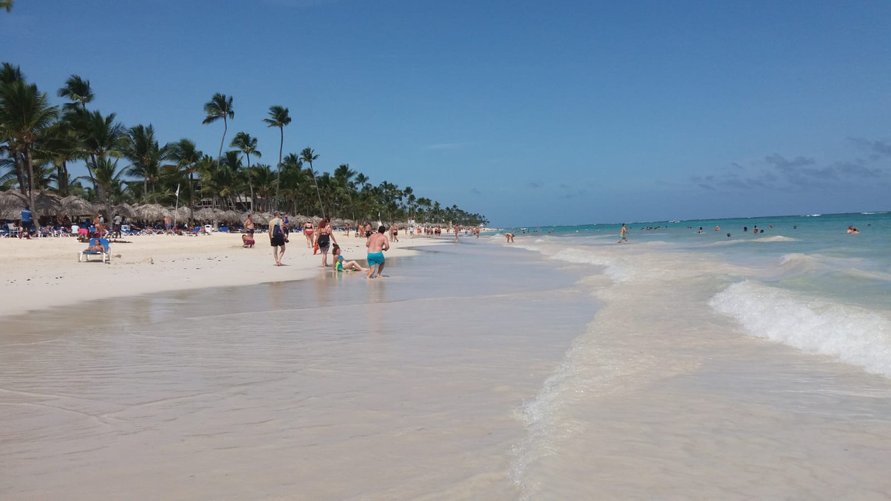 Algas (Sargazo) en playas de Punta Cana y Rep. Dominicana