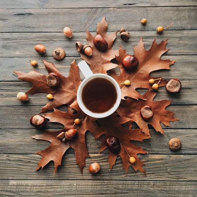 vartotojo įkelta nuotrauka