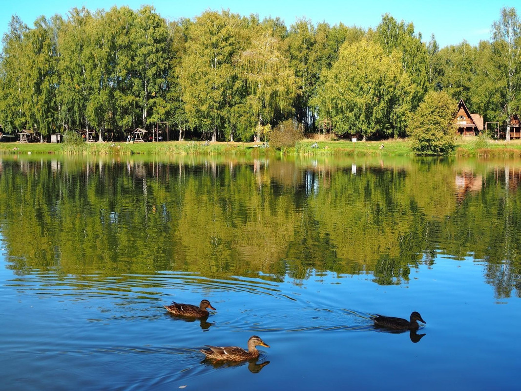 lC_-et_TvJ2P9DQ1RrD-sUT3LkSeCG3MArprzzojiGr-bo_suFvInA38O655Nh6EO-7ouEFlGm22CeZ4wdfGifCL