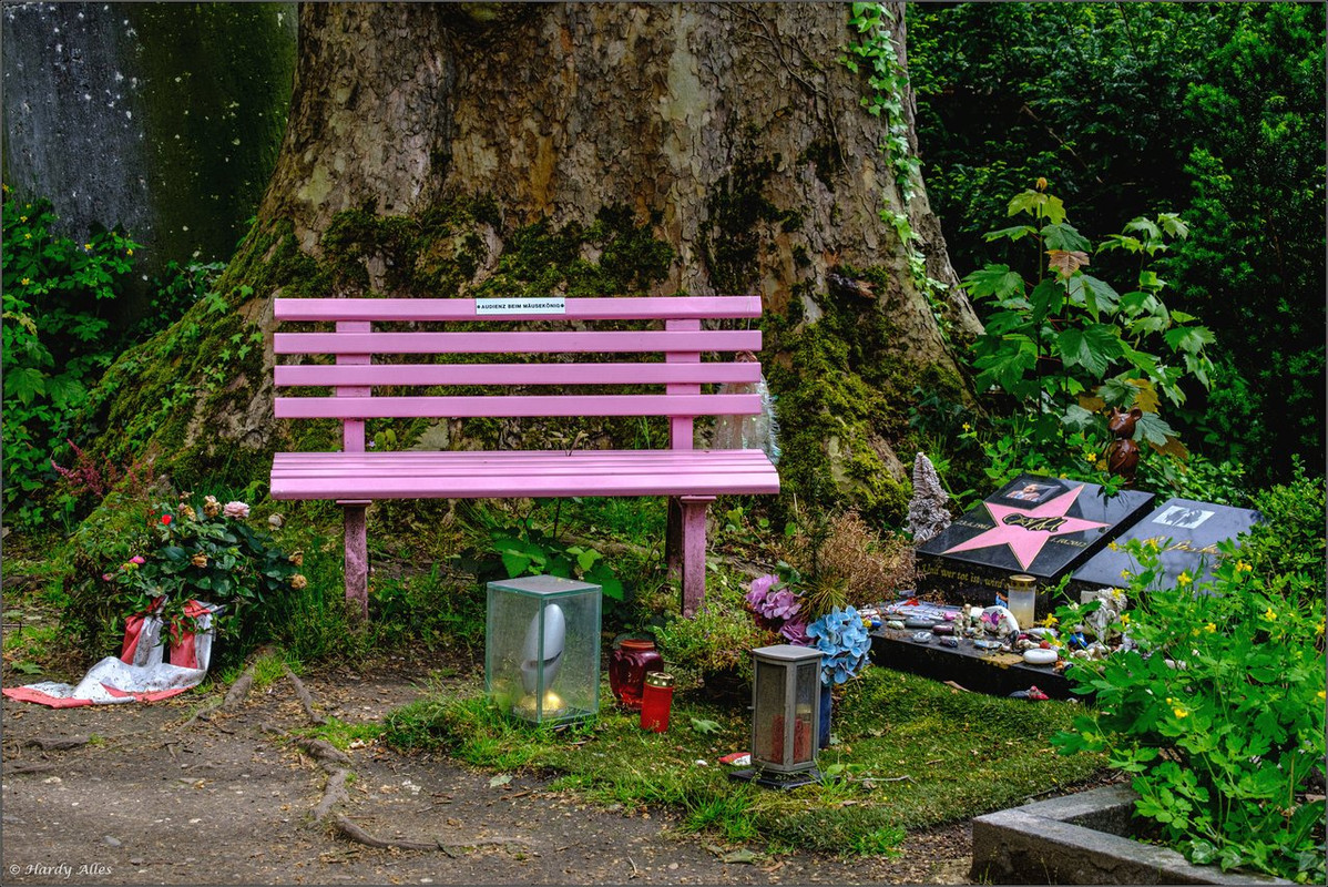 XT4G7923 2023 Köln LR ERWZ FB