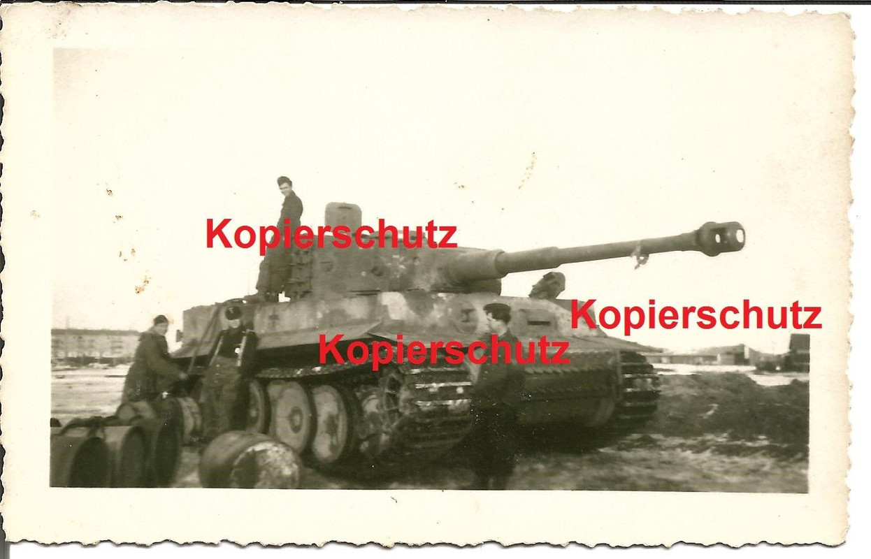 Tiger Panzer Abteilung 501 mit Nummer 333 in Rußland Witebsk 194