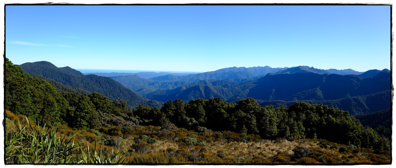 Paparoa NP: Paparoa Track (diciembre 2024) - Escapadas y rutas por la Nueva Zelanda menos conocida (22)