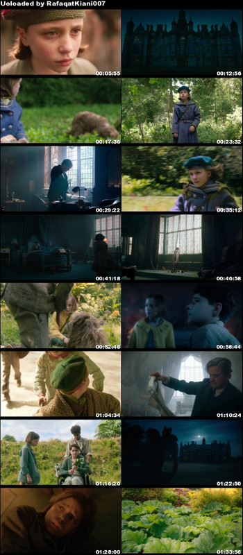 The King Of Staten Island (2020) 1080p BluRay x264 DTS-FGT