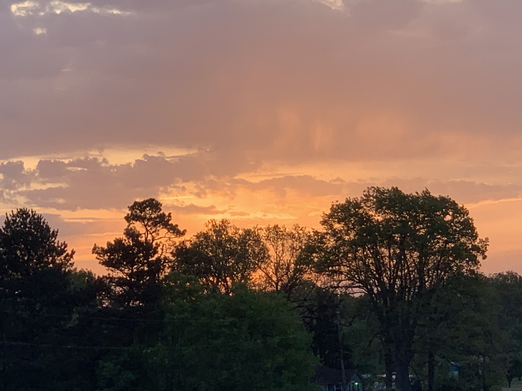 A12AE934-D561-4894-AFD0-16CB89CEF324