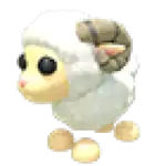 Ram