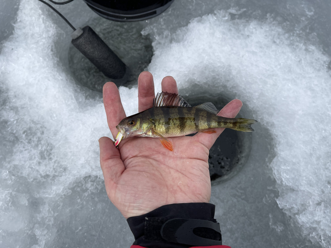 CA6C9D75-A6D2-4829-B5D0-415679FE8E8F