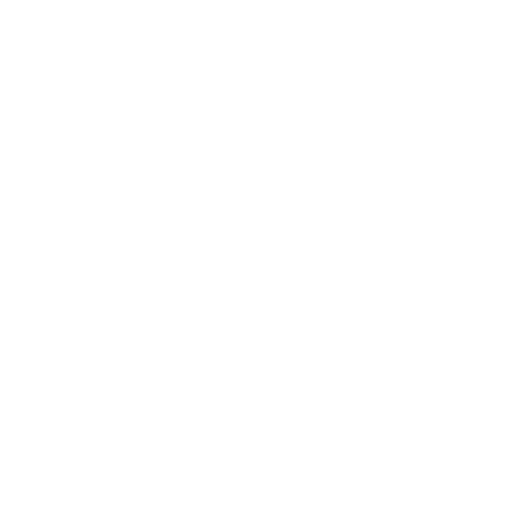 VPN Lisansları ikonu
