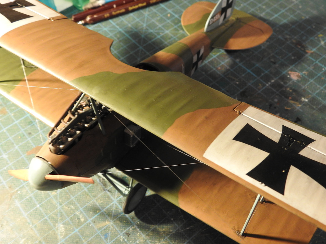 Albatross D.I - Roden 1/32 - Sida 3 DSCN0803