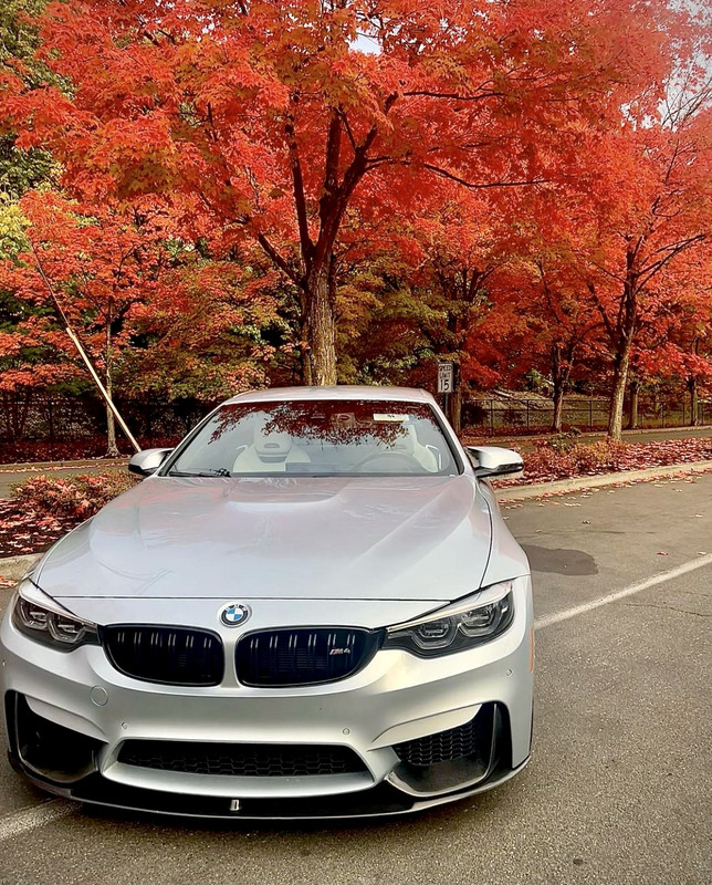 E90DE791-1B35-4EB9-A1C2-AF0F5399D8B8