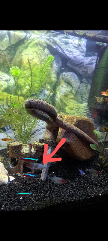 Screenshot_20230419_143151_Gallery~2