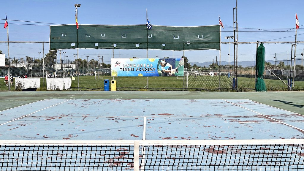 pickball-IMG-1351