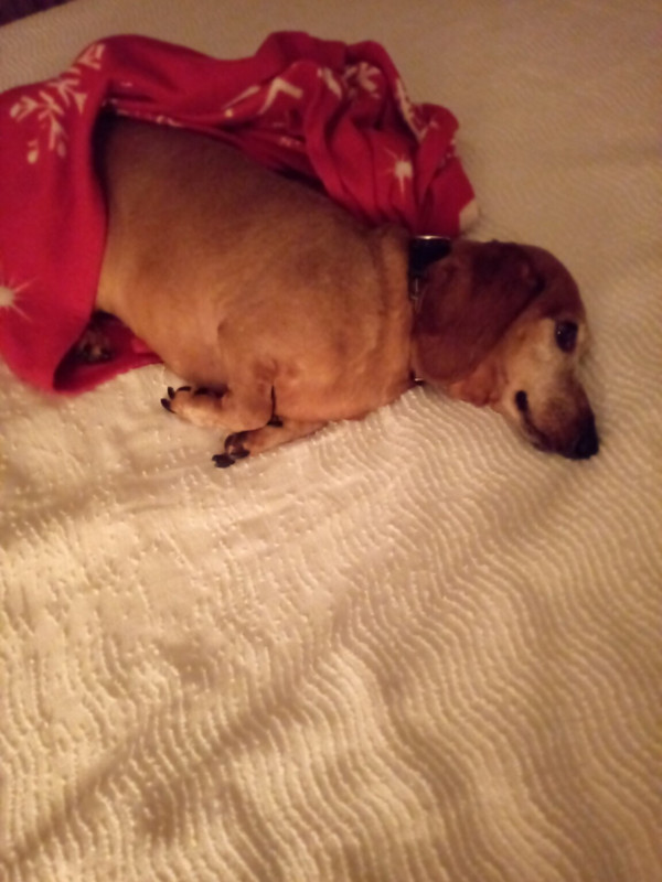 [Image: image000000-279.jpg]