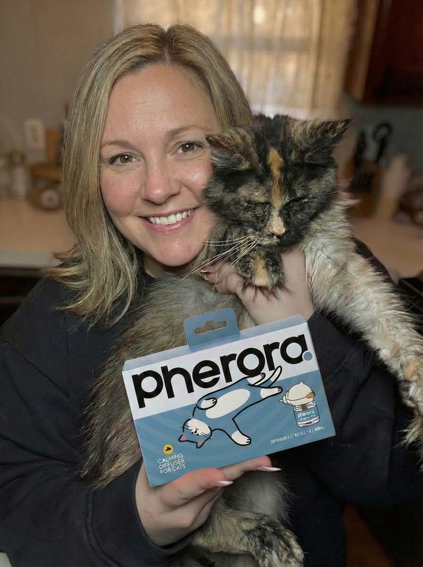 Cat investigating a plugged-in Pherora diffuser