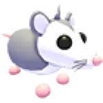 Possum