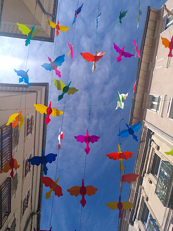 Oiseaux colorés dans le ciel entre deux bâtiments - chaos
