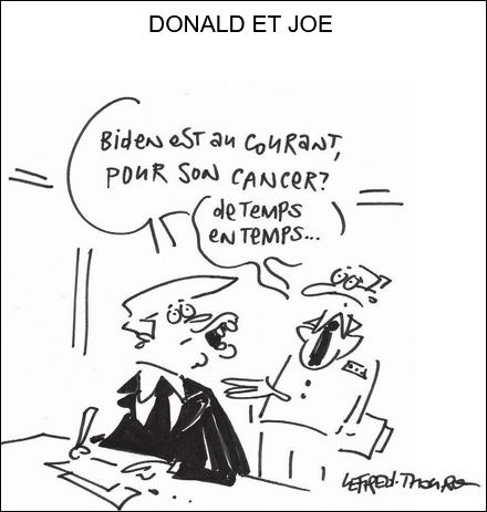 text alternatif