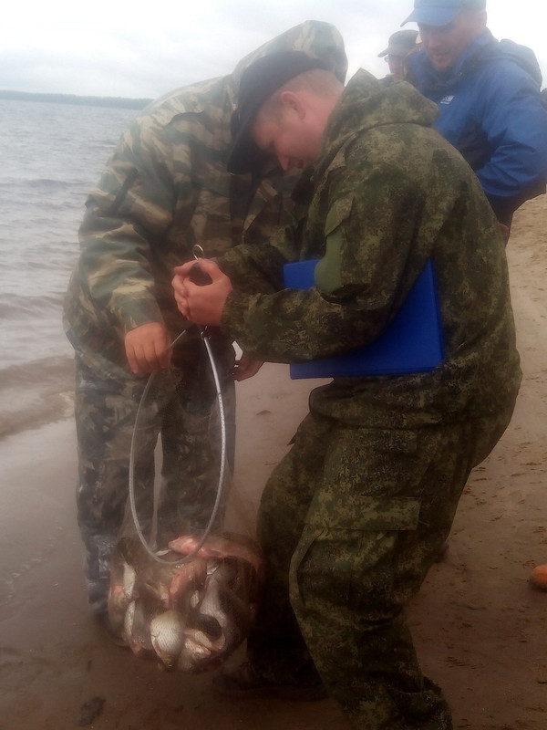 Фидерные посиделки 2015 13