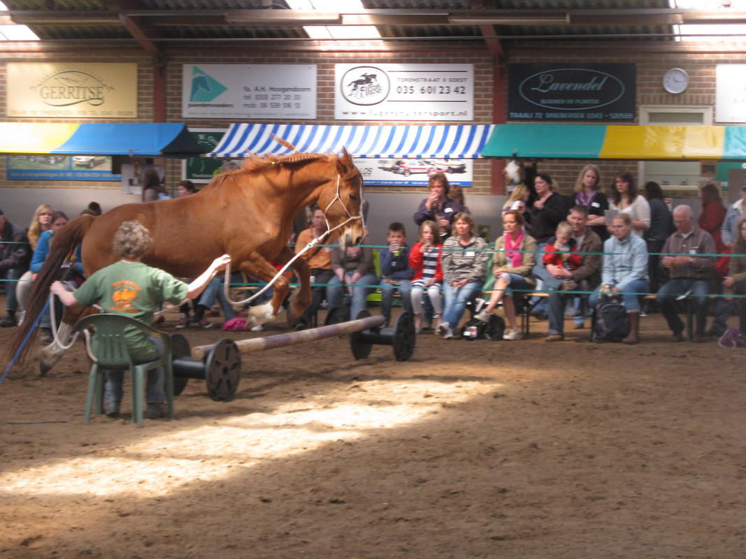 EquiDay NHChallenge Nh Challenge