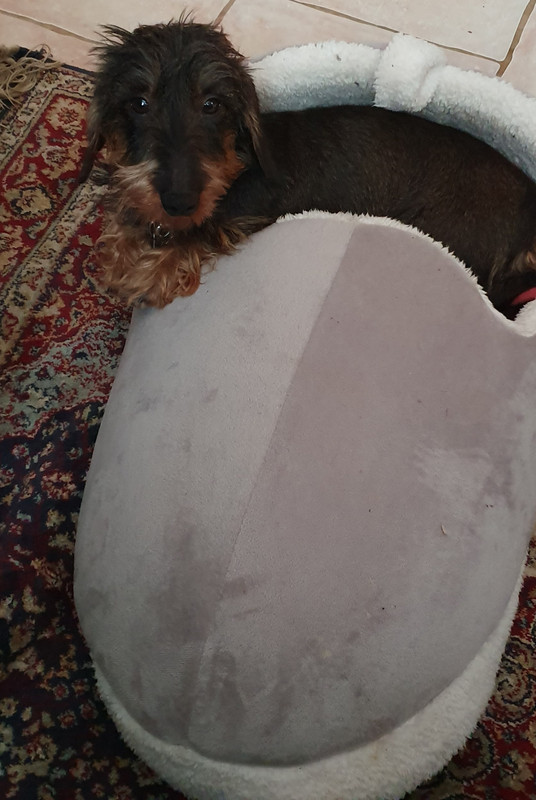 [Image: 20220103-153253.jpg]