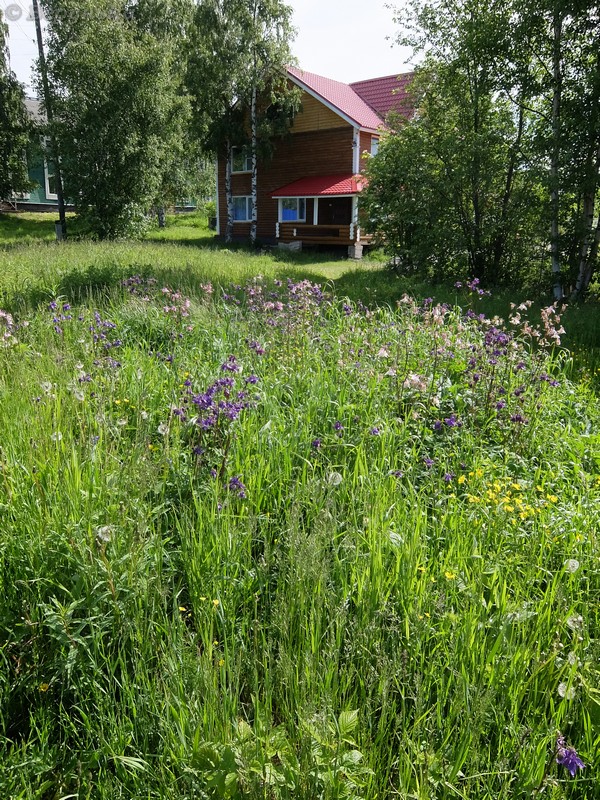 DSCF7237