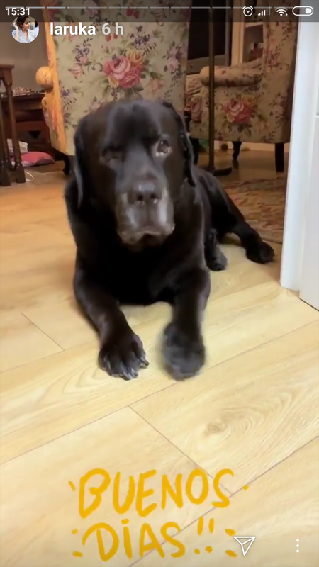 Screenshot_2018-12-24-15-31-17-688_com.instagram.android