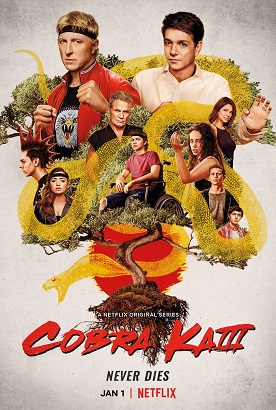 Cobra Kai - Stagione 3 (2021) (Completa) WEBRip 720P ITA ENG DDP5.1 x264 mkv