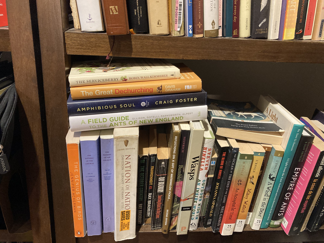 82137B32-C1F3-464F-A49D-D865E5564DFA