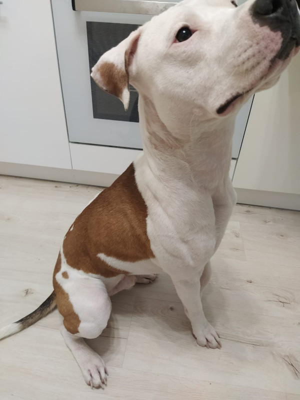 WhatsApp Image 2024-04-07 at 21.06.02 (1)